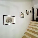 호스텔 Rifugio Acquaviva *