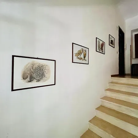 Albergue Rifugio Acquaviva *